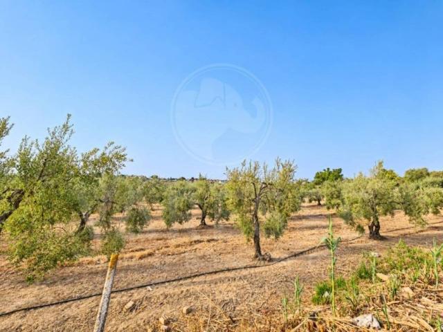 Terreno en venta en Espartinas, Sevilla