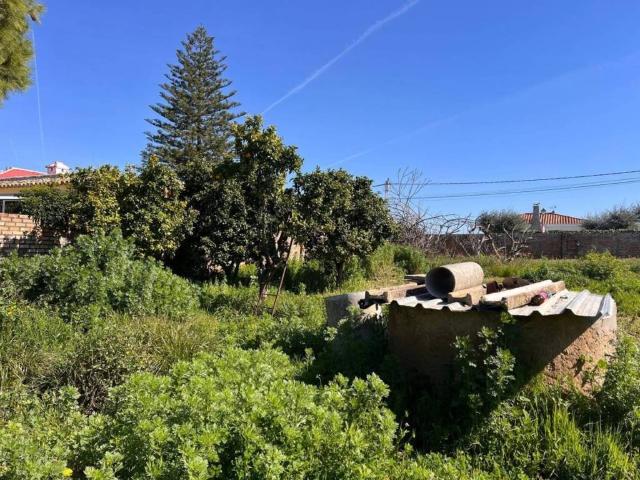 Terreno en venta en Espartinas, Andalucía