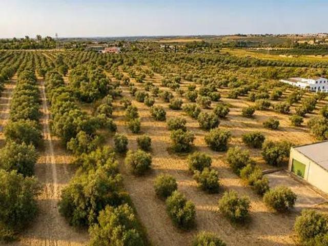 Terreno en venta en Urbanización Alquería de Almanzor, Espartinas