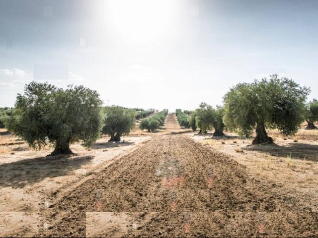 Terreno en venta en Espartinas, Urbanización 