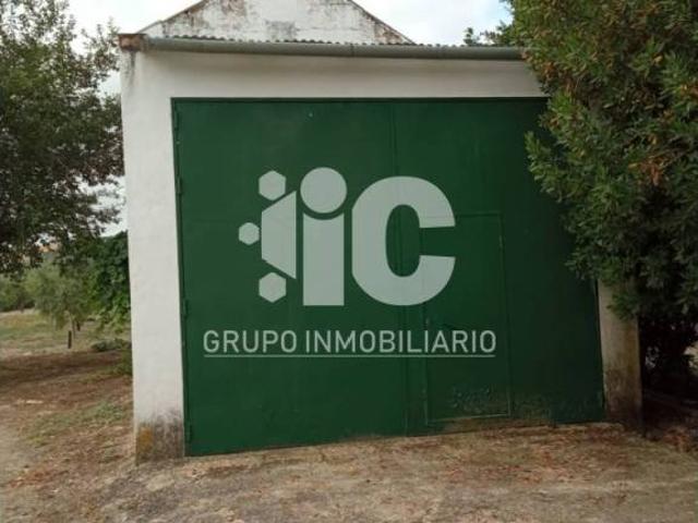 Terreno en venta en Espejo, Andalucía
