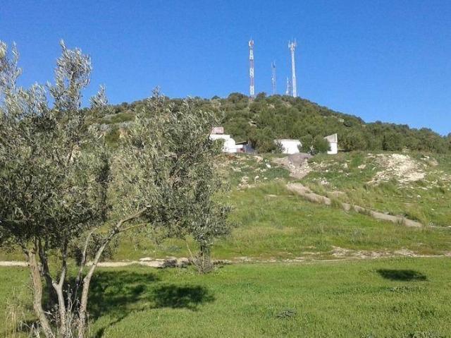 Terreno en venta en Sierra de Cádiz, Andalucía
