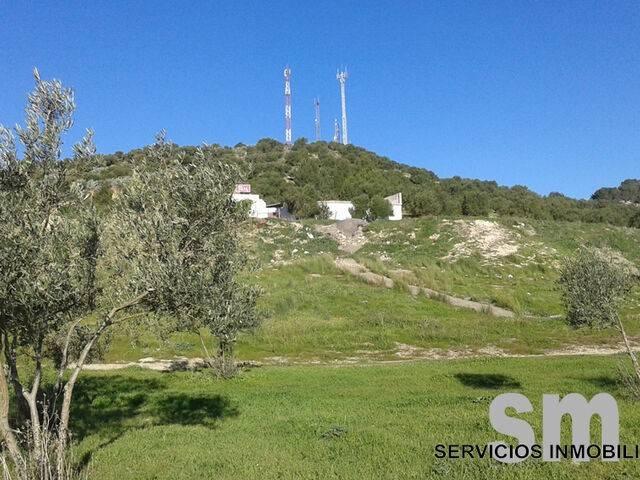 Terreno en venta en Sierra de Cádiz, Andalucía