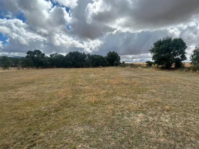 Terreno en venta en Sexmo de San Lorenzo, Espirdo