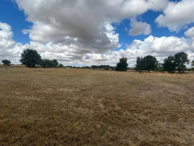 Terreno en venta en Sexmo de San Lorenzo, Espirdo