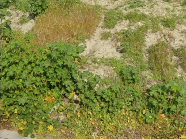 Terreno en venta en Esquivias, Castilla-La Mancha