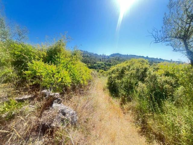 Terreno en venta en Estellerria, Navarra