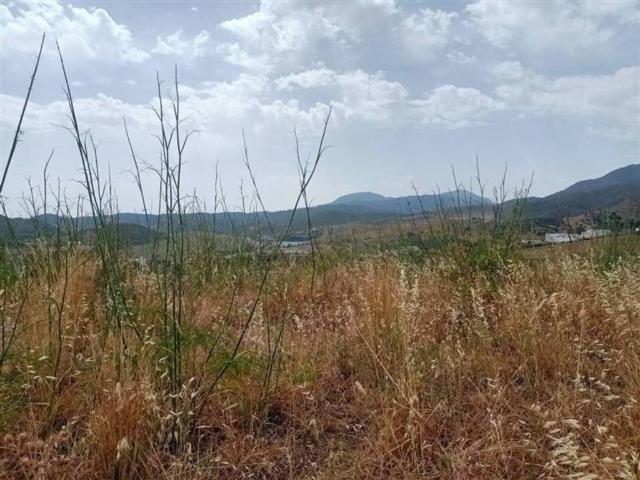 Terreno en venta en Barriada Islas Canarias, Costa del Sol Occidental