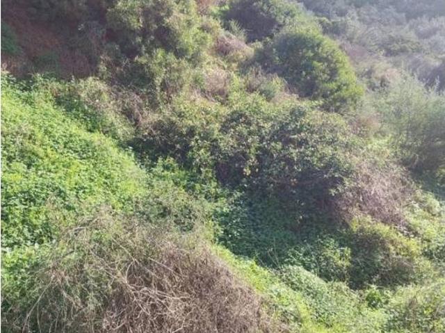 Terreno en venta en Costa del Sol Occidental, Andalucía