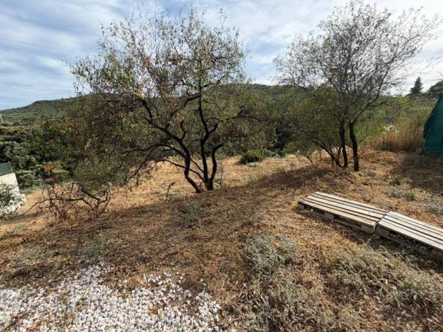 Terreno en venta en Costa del Sol Occidental, Andalucía