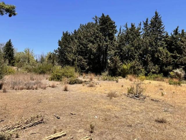 Terreno en venta en Barriada Blas Infante, Estepona