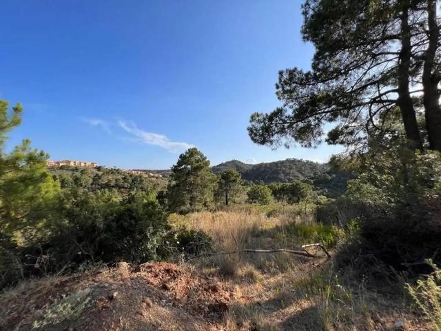 Terreno en venta en Barriada Islas Canarias, Estepona
