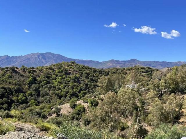 Terreno en venta en Barriada Islas Canarias, Estepona