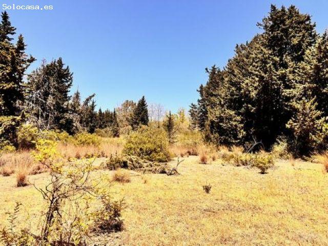 Local Comercial en venta en Resinera-Voladilla, Costa del Sol Occidental