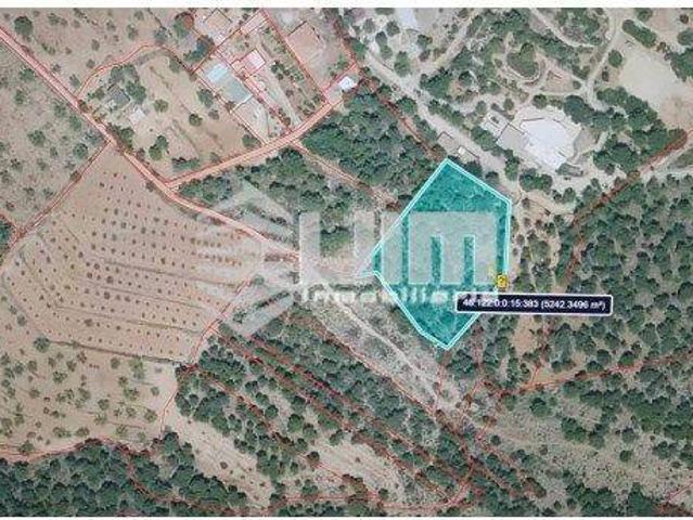 Terreno en venta en el Camp de Morvedre, Valencia
