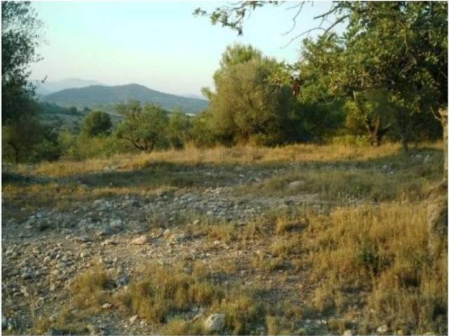 Terreno en venta en el Camp de Morvedre, Valencia