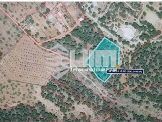 Terreno en venta en el Camp de Morvedre, Valencia