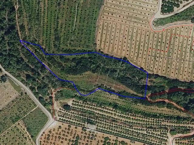 Terreno en venta en la Costera, Valencia