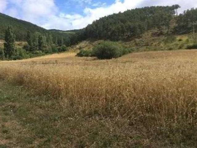 Terreno en venta en Ezcabarte, Navarra