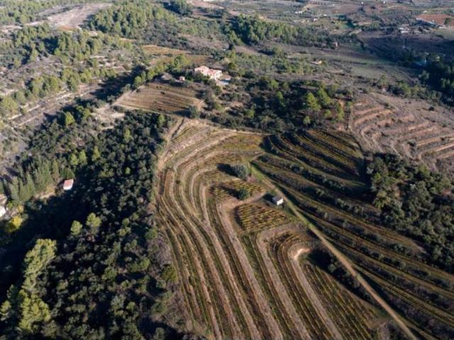 Terreno en venta en Priorat, Catalunya