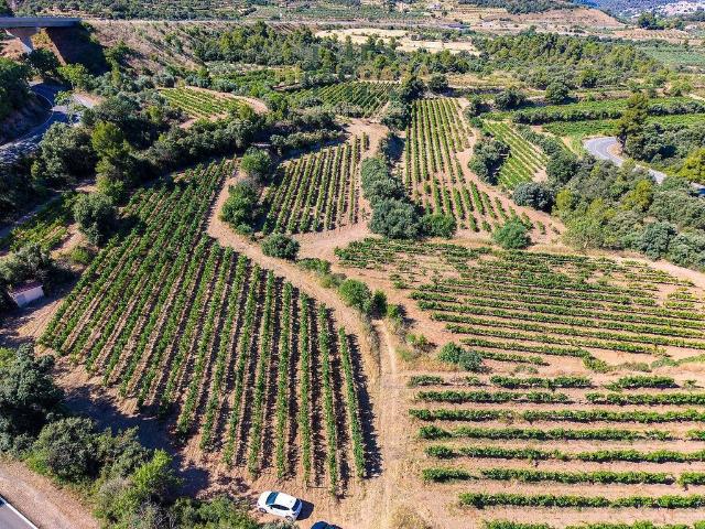 Terreno en venta en Falset, Tarragona