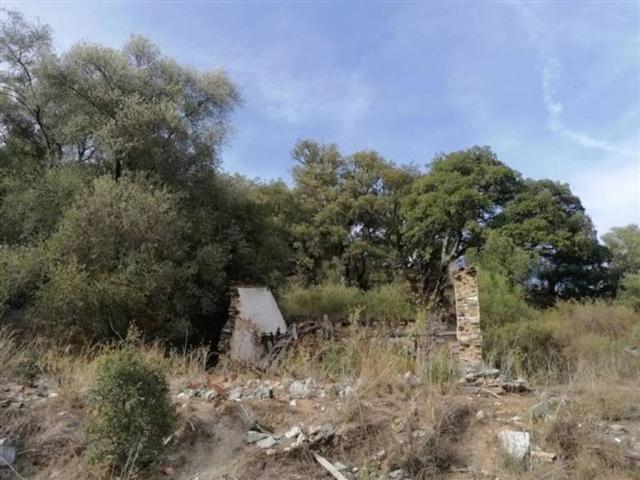 Terreno en venta en Serranía de Ronda, Andalucía