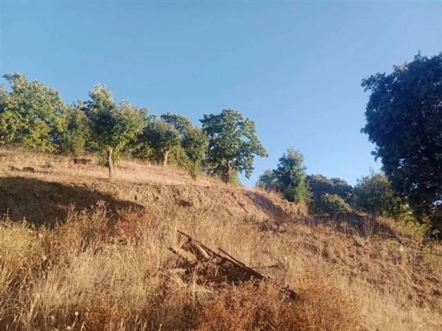 Terreno en venta en Serranía de Ronda, Andalucía