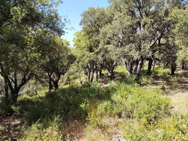 Terreno en venta en Serranía de Ronda, Andalucía
