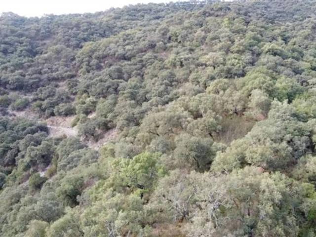 Terreno en venta en Serranía de Ronda, Andalucía