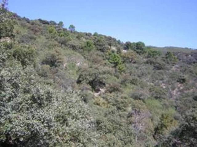 Casa Rural en venta en Serranía de Ronda, Andalucía