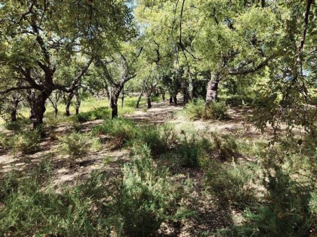 Terreno en venta en Serranía de Ronda, Andalucía