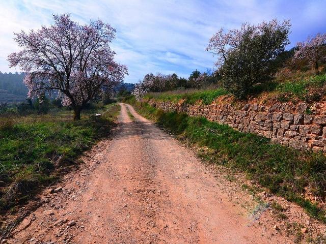 Terreno en venta en Terra Alta, Catalunya