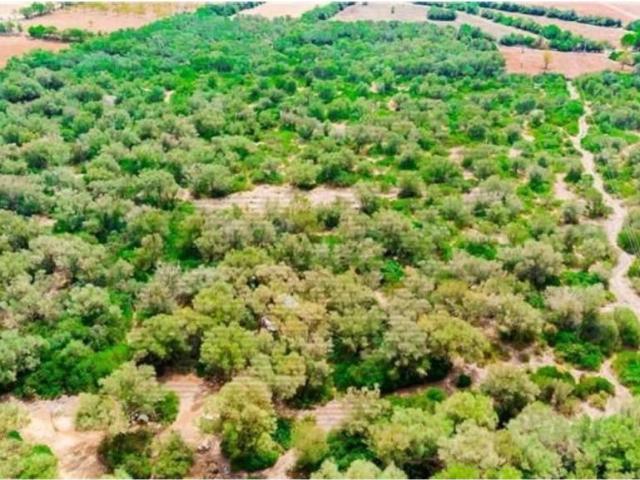 Terreno en venta en Migjorn, Baleares