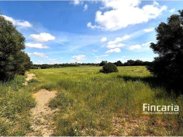 Terreno en venta en Migjorn, Baleares