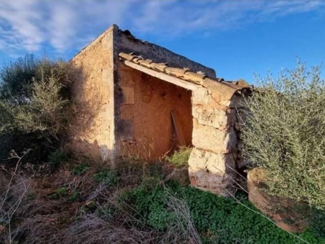 Terreno en venta en Son Mesquida, Migjorn