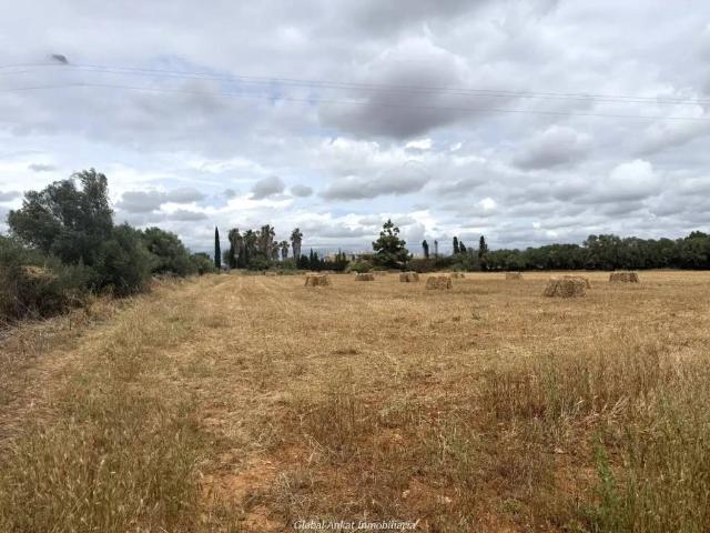 Terreno en venta en Migjorn, Baleares