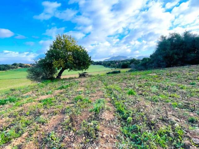 Terreno en venta en Migjorn, Baleares
