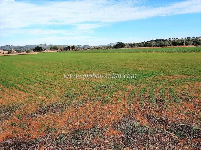 Terreno en venta en Felanitx, Illes Balears