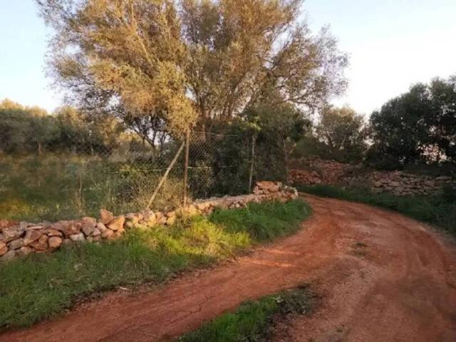 Terreno en venta en Felanitx, Illes Balears