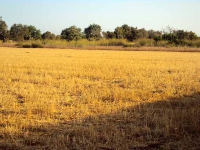 Terreno en venta en Migjorn, Baleares