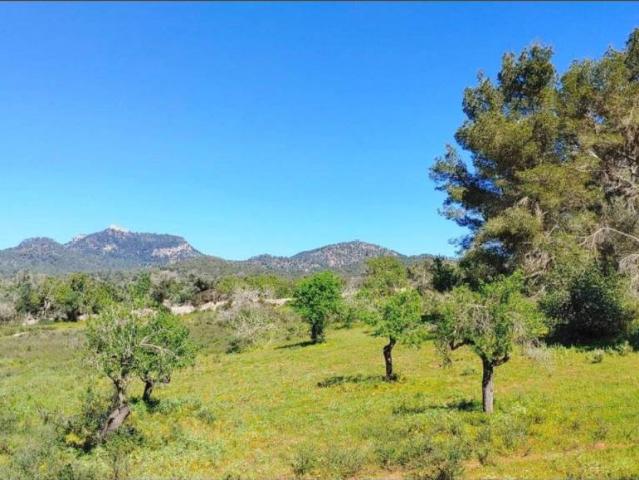 Terreno en venta en Migjorn, Baleares