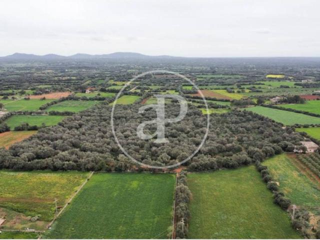 Terreno en venta en Migjorn, Baleares