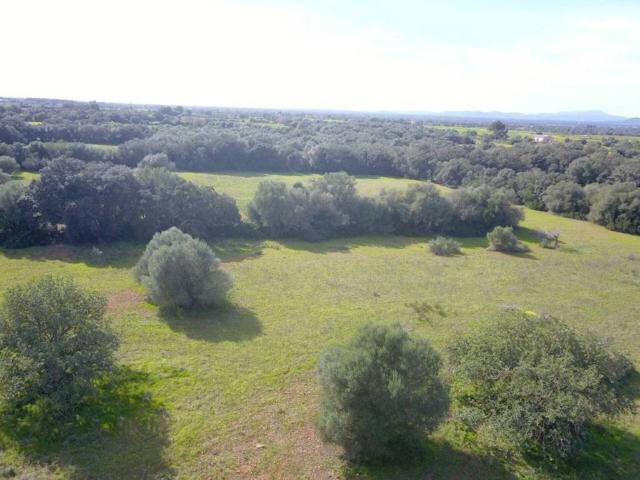 Terreno en venta en Migjorn, Baleares