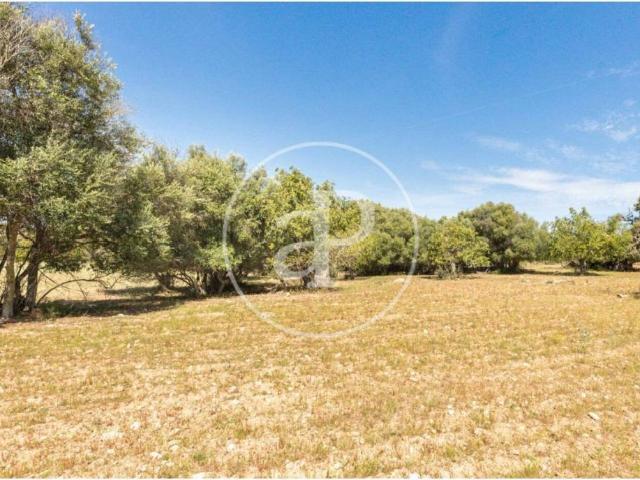 Terreno en venta en Migjorn, Baleares