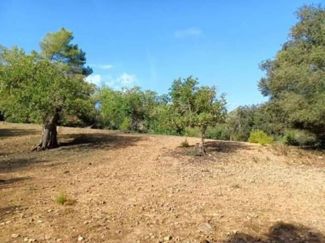 Terreno en venta en Migjorn, Baleares