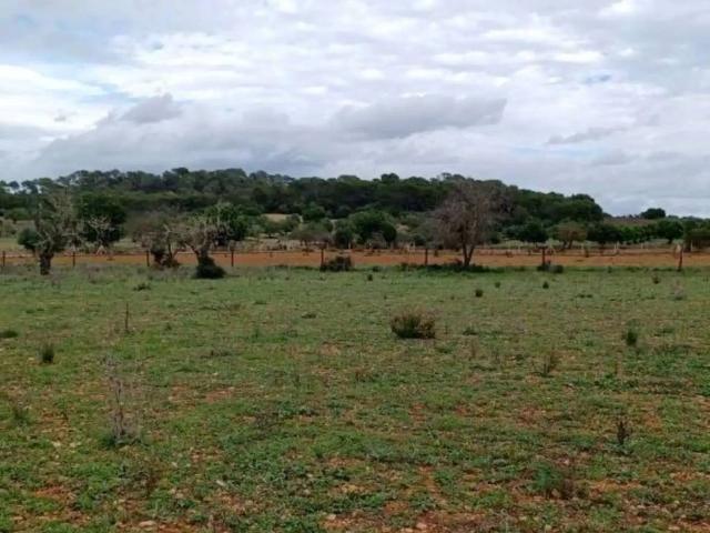 Terreno en venta en Migjorn, Baleares
