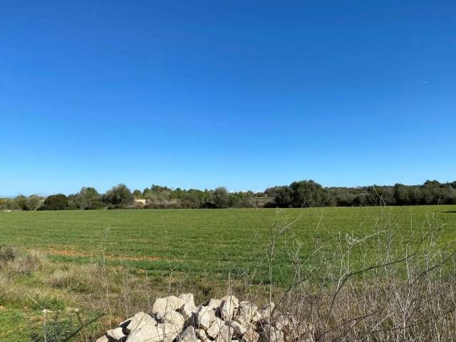 Terreno en venta en Migjorn, Baleares