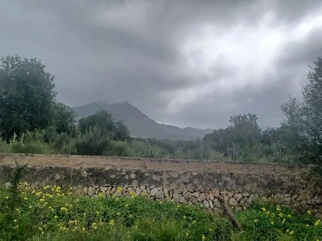 Terreno en venta en Migjorn, Baleares
