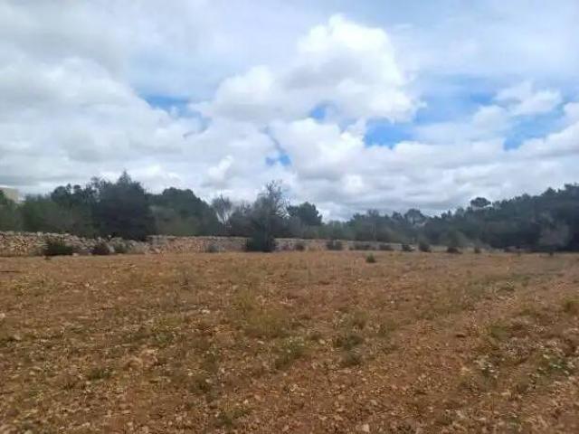 Terreno en venta en Migjorn, Baleares