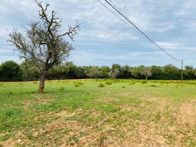 Terreno en venta en Migjorn, Baleares